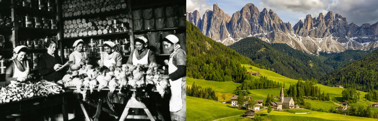 Bauer une tr&egrave;s ancienne entreprise famillle Trentino