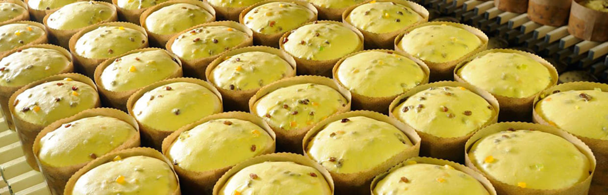 Lev&eacute;e des panettone