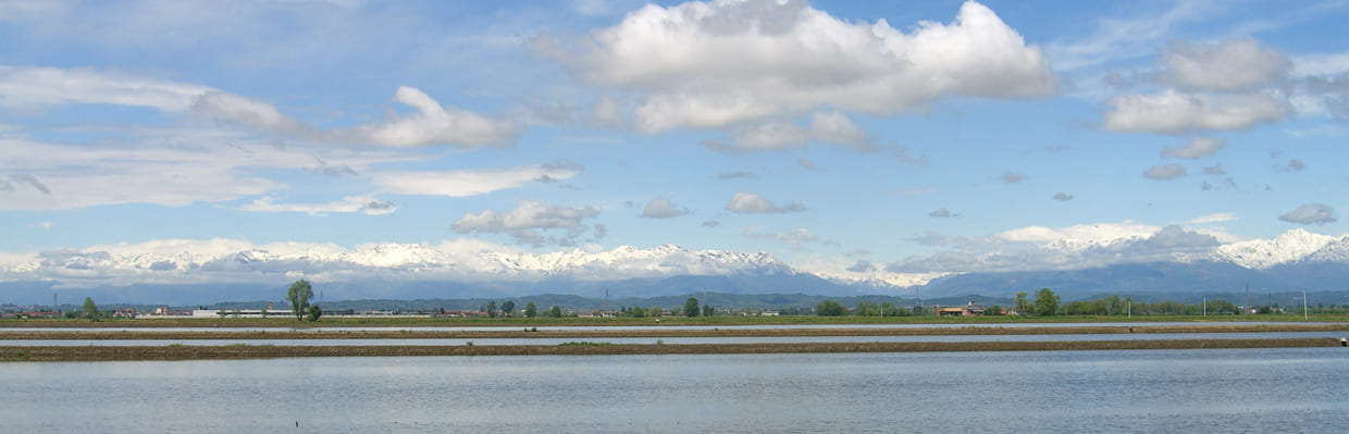 Une nature magnifique au service du riz