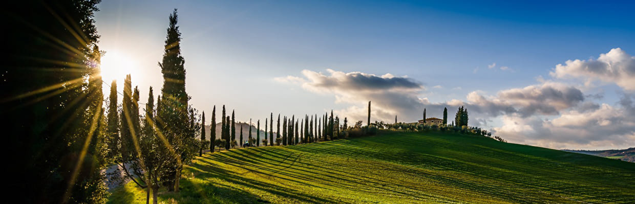 Les collines Toscane
