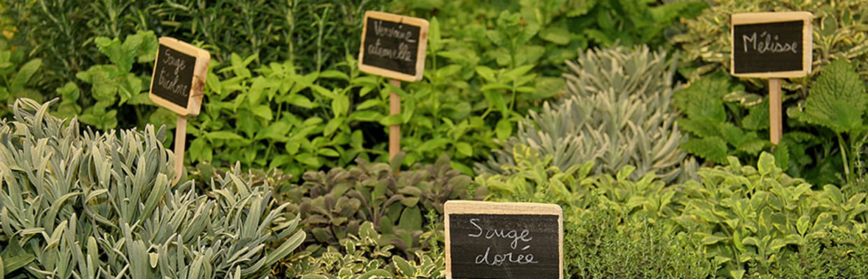 Privil&eacute;giez les petits producteurs