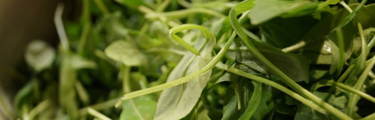 La roquette