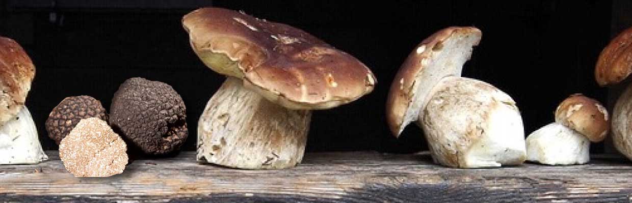 Pour les amateurs de truffes et de cèpes